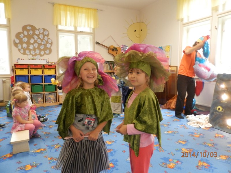 PA030053PA030053PA030053